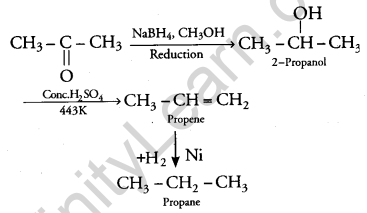 CBSE Previous Year Question Papers Class 12 Chemistry 2013 Delhi Set I Q30.3
