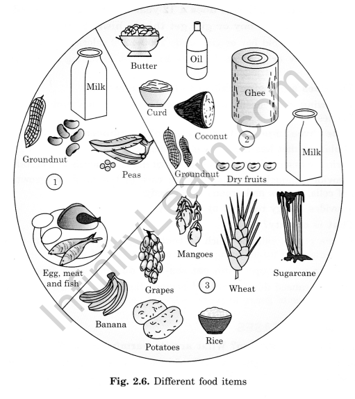 components-of-food-class-6-extra-questions-science-chapter-2-sri