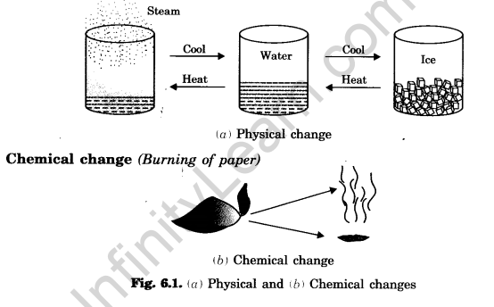 Changes Around Us Class 6 Extra Questions Science Chapter 6 Q 18