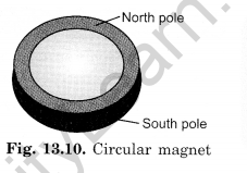 Fun with Magnets Class 6 Extra Questions Science Chapter 13-1