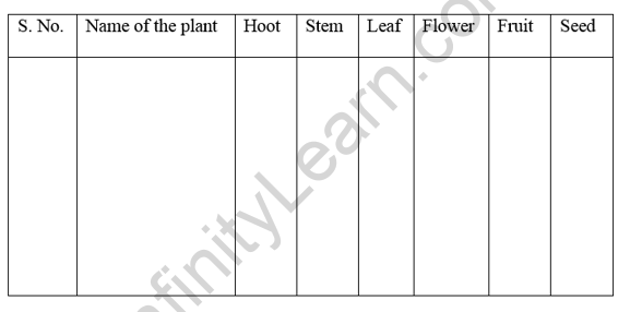 Getting to Know Plants Class 6 Extra Questions Science Chapter 7 - 12