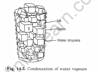 Water Class 6 Extra Questions Science Chapter 14-1