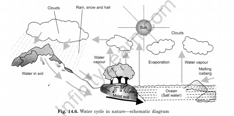 Water Class 6 Extra Questions Science Chapter 14-2