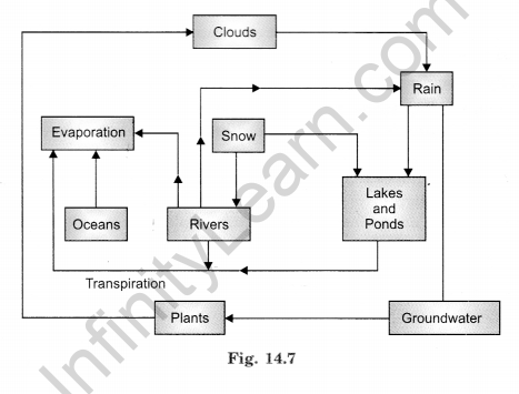 Water Class 6 Extra Questions Science Chapter 14-3