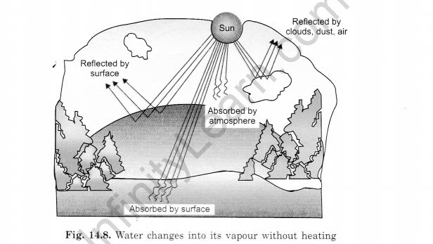 Water Class 6 Extra Questions Science Chapter 14-4