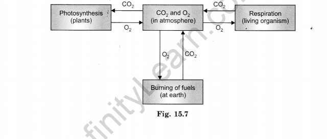 Air Around Us Class 6 Extra Questions Science Chapter 15