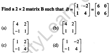 Maths MCQs for Class 12 with Answers Chapter 4 Determinants Q41
