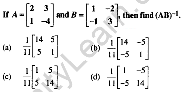 Maths MCQs for Class 12 with Answers Chapter 4 Determinants Q39