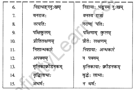 Abhyasvan Bhav Sanskrit Class 10 Solutions Chapter 7 समासा 1.3