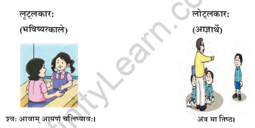 Abhyasvan Bhav Sanskrit Class 9 Solutions Chapter 11 धातरूपाणि 2