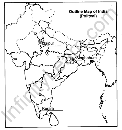 CBSE Previous Year Question Papers Class 12 Geography 2013 Outside Delhi 4