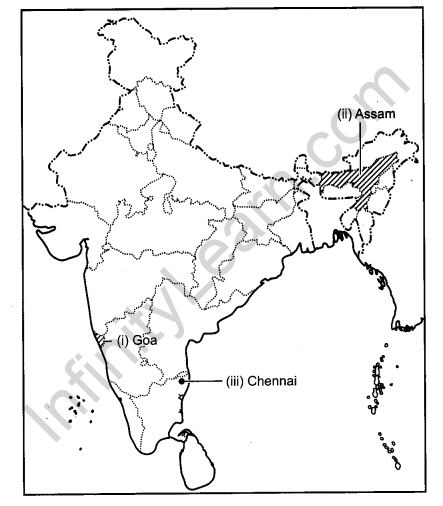 CBSE Previous Year Question Papers Class 12 Geography 2014 Outside Delhi 5
