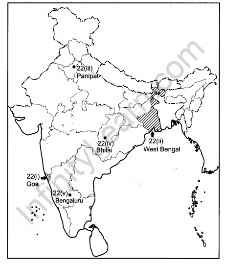 CBSE Previous Year Question Papers Class 12 Geography 2015 Delhi 3