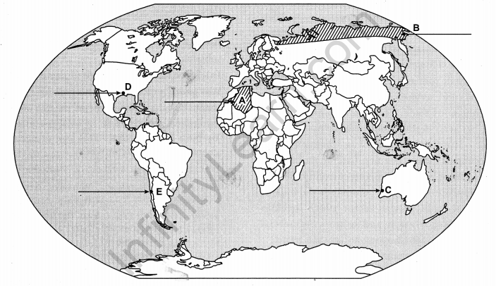 CBSE Previous Year Question Papers Class 12 Geography 2017 Outside Delhi 3