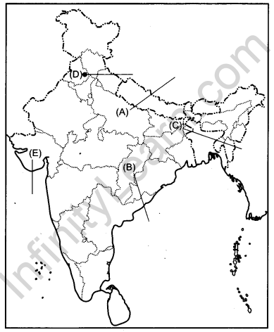 CBSE Previous Year Question Papers Class 12 Political Science 2018 Outside Delhi 2