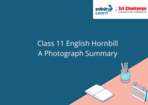 Class 11 English Hornbill A Photograph Summary
