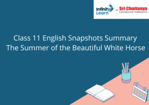 Class 11 English Snapshots Summary The Summer of the Beautiful White Horse