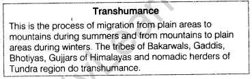 Class 12 Geography Notes Chapter 5 Primary Activities 1