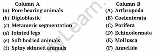 Diversity in Living Organisms Class 9 Extra Questions Science Chapter 7 9