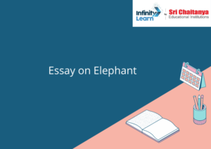 Essay on Elephant - Infinity Learn by Sri Chaitanya