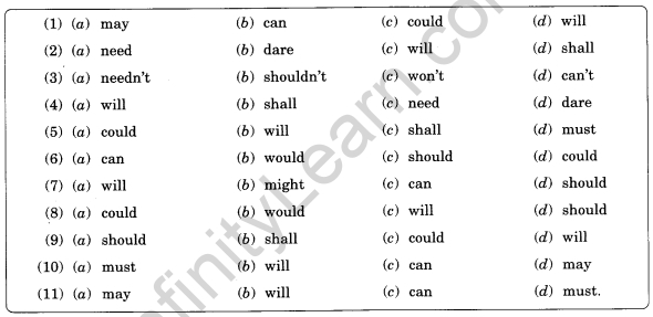 English Workbook Class 10 Solutions Unit 11 Modals-Expressing Attitudes 5