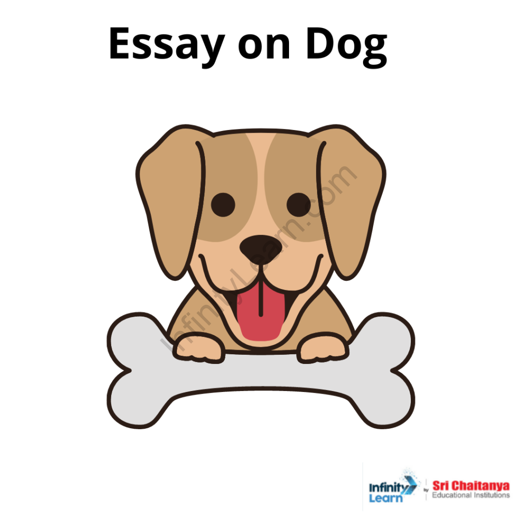 My Pet Essay for Students and Children