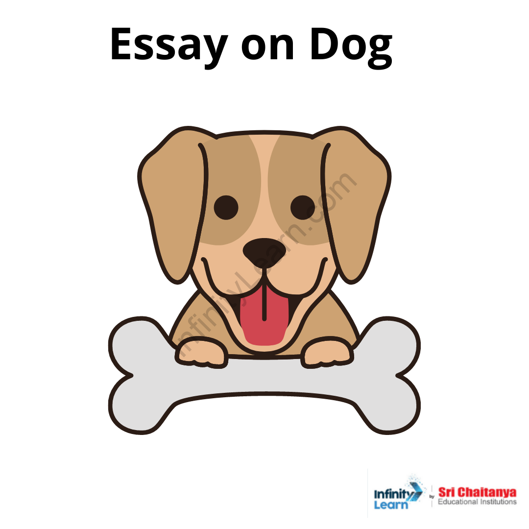 500 word essay on dogs