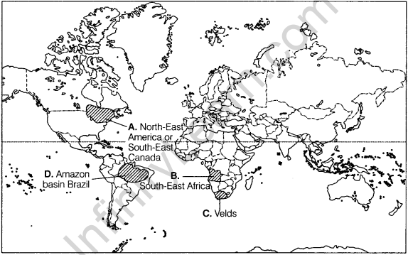 Geography Class 12 Important Questions Chapter 5 Primary Activities 2