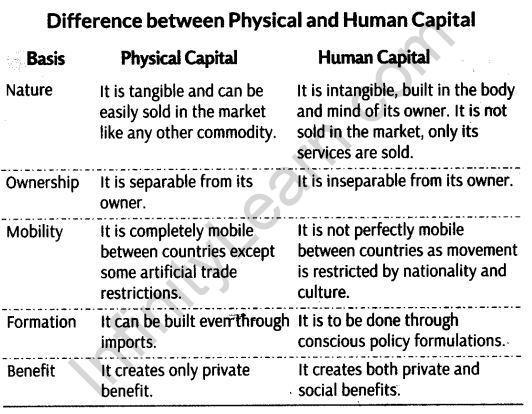 Human Capital Formation in India Class 11 Notes Chapter 6 Indian Economic Development 1