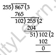 Important Questions for Class 10 Maths Chapter 1 Real Numbers 10
