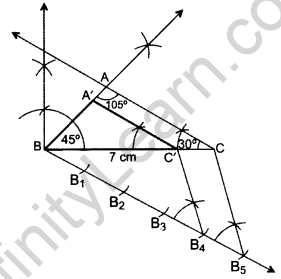 Important Questions for Class 10 Maths Chapter 11 Constructions 21