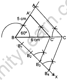 Important Questions for Class 10 Maths Chapter 11 Constructions 22