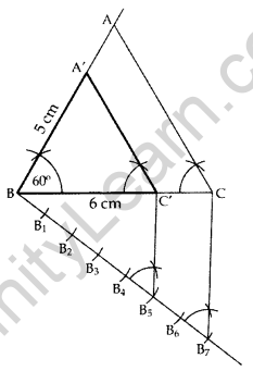 Important Questions for Class 10 Maths Chapter 11 Constructions 3