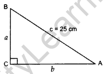 Important Questions for Class 10 Maths Chapter 4 Quadratic Equations 34