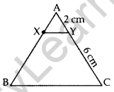 Important Questions for Class 10 Maths Chapter 6 Triangles 17