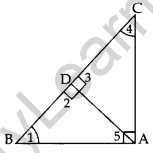 Important Questions for Class 10 Maths Chapter 6 Triangles 20