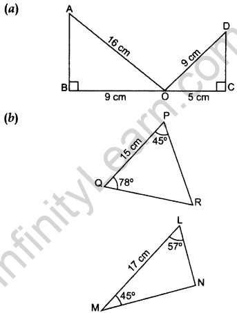 Important Questions for Class 10 Maths Chapter 6 Triangles 42