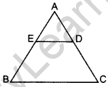 Important Questions for Class 10 Maths Chapter 6 Triangles 44