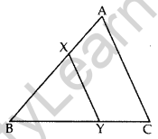 Important Questions for Class 10 Maths Chapter 6 Triangles 49