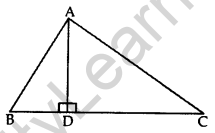 Important Questions for Class 10 Maths Chapter 6 Triangles 51