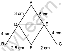Important Questions for Class 10 Maths Chapter 6 Triangles 66