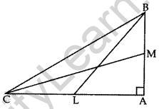 Important Questions for Class 10 Maths Chapter 6 Triangles 74