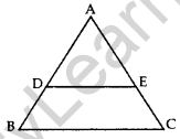 Important Questions for Class 10 Maths Chapter 6 Triangles 8