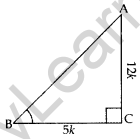Important Questions for Class 10 Maths Chapter 8 Introduction to Trigonometry 4