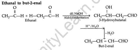 Important Questions for Class 12 Chemistry Chapter 12 Aldehydes, Ketones and Carboxylic Acids Class 12 Important Questions 177
