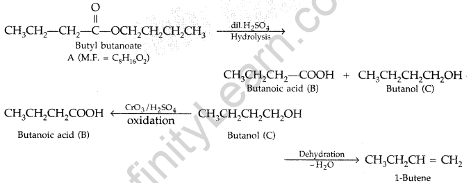 Important Questions for Class 12 Chemistry Chapter 12 Aldehydes, Ketones and Carboxylic Acids Class 12 Important Questions 58