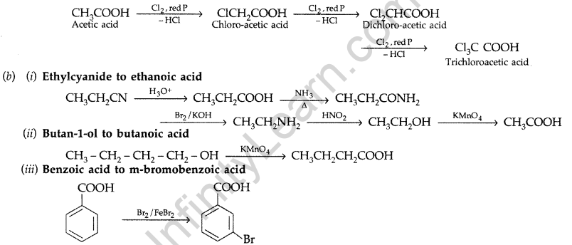 Important Questions for Class 12 Chemistry Chapter 12 Aldehydes, Ketones and Carboxylic Acids Class 12 Important Questions 71