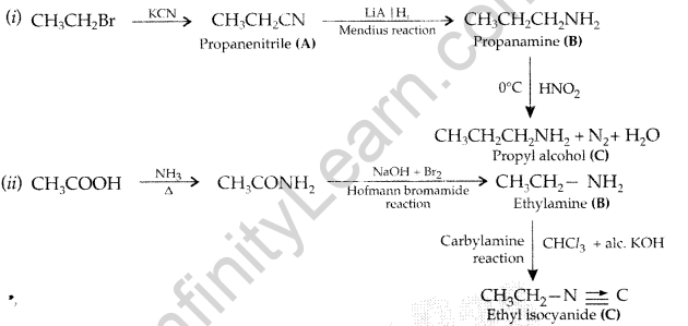Important Questions for Class 12 Chemistry Chapter 13 Amines Organic Compounds Containing Nitrogen Class 12 Important Questions 50