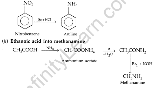 Important Questions for Class 12 Chemistry Chapter 13 Amines Organic Compounds Containing Nitrogen Class 12 Important Questions 58