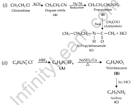 Important Questions for Class 12 Chemistry Chapter 13 Amines Organic Compounds Containing Nitrogen Class 12 Important Questions 77